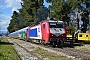 Bombardier 33803 - TRAINOSE "220 032"
10.02.2013
Lianokladi [GR]
Jason Zorzos