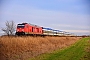 Bombardier 35004 - DB Regio "245 005"
08.01.2022
Emmelsbll-Horsbll (Niebll), B Triangel [D]
Jens Vollertsen