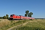 Bombardier 35013 - DB Regio "245 016"
28.06.2019
Gettenau-Bingenheim [D]
Linus Wambach