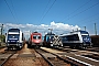 Siemens 21404 - Metrans "761 003-3"
09.07.2012
Budapest-Ferencv�ros [H]
M�rk Fekete
