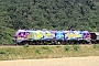 Stadler ? - dispo-Tf "2019 404-4"
13.07.2026
Gem�nden&nbsp;(Main)-Wernfeld [D]
Gerrit  Peters