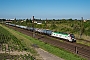 Stadler 4117 - LEG "2159 228-6"
24.06.2024
Leipzig-Wiederitzsch [D]
Ren Groe