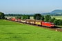 Adtranz 22298 - DB Cargo "145 004-8"
07.06.2016 - Northeim
Peider Trippi