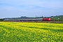 Adtranz 33125 - DB Fernverkehr "101 015-6"
14.09.2019 - SchliengenVincent Torterotot