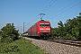 Adtranz 33138 - DB Fernverkehr "101 028-9"
05.08.2013 - Buggingen
Tobias Schmidt