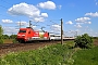 Adtranz 33191 - DB Fernverkehr "101 081-8"
03.05.2014 - LottePhilipp Richter