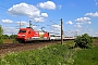 Adtranz 33191 - DB Fernverkehr "101 081-8"
03.05.2014 - Lotte
Philipp Richter