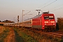 Adtranz 33233 - DB Fernverkehr "101 123-8"
21.09.2020 - Hohnhorst
Thomas Wohlfarth