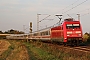 Adtranz 33252 - DB Fernverkehr "101 142-8"
14.09.2020 - Rheine-Hohnhorst
Thomas Wohlfarth