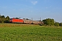 Adtranz 33335 - DB Cargo "145 018-8"
29.08.2017 - ThüngersheimMarcus Schrödter