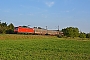 Adtranz 33335 - DB Cargo "145 018-8"
29.08.2017 - Thüngersheim
Marcus Schrödter