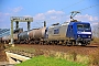 Adtranz 33337 - RBH Logistics "145 020-4"
30.03.2019 - Hamburg, SüderelbbrückenJens Vollertsen