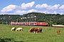 Adtranz 33355 - DB Regio "145 038-6"
12.07.2011 - Struppen-StrandRené Große