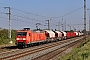 Adtranz 33364 - DB Cargo "145 046-9"
14.09.2021 - Weißenfels-GroßkorbethaChristian Klotz
