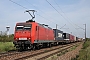 Adtranz 33365 - DB Schenker "145 047-7"
11.09.2010 - Wiesental
Wolfgang Mauser