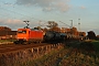 Adtranz 33366 - AMEH Trans "145-CL 002"
11.11.2012 - Hamm-Neustadt
Arne Schuessler