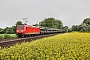 Adtranz 33378 - DB Cargo "145 055-0"
18.05.2017 - Bremen-Mahndorf
Patrick Bock