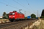 Adtranz 33820 - DB Schenker "145 075-8"
01.09.2009 - Stockstadt (Rhein)
Kurt Sattig