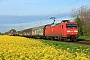 Adtranz 33824 - DB Cargo "145 078-2"
05.05.2023 - Dieburg Ost
Kurt Sattig