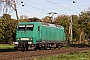 Adtranz 33843 - AMEH Trans "145-CL 005"
11.11.2022 - Hamm (Westfalen)-Lerche
Ingmar Weidig