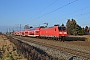 Adtranz 33881 - DB Regio "146 014"
15.01.2018 - Leipzig-Engelsdorf
Marcus Schrödter