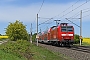 Adtranz 33885 - DB Regio "146 018"
05.05.2018 - Niederndodeleben
Marcus Schrödter