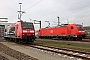 Adtranz 33888 - DB Regio "146 021"
16.04.2023 - Dresden, Bw Altstadt
Thomas Wohlfarth