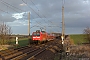Adtranz 33891 - DB Regio "146 024"
19.03.2019 - Ovelgünne
Tobias Schubbert