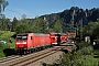 Adtranz 33892 - DB Regio "146 025"
30.05.2019 - Kurort Rathen
Alex Huber