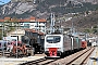 Bombardier 112E 06 - RTC "EU43-006"
11.03.2017 - Trento
Thomas Wohlfarth