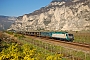 Adtranz 7418 - Trenitalia "E 412 003"
21.04.2010 - Salorno
Marco Stellini