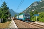 Adtranz 7434 - Trenitalia "E 412 019"
30.06.2018 - Borghetto
Riccardo Fogagnolo