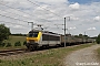 Alsthom 1302 - SNCB "1302"
08.07.2017 - Pondrôme
Lutz Goeke