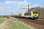 Alsthom 1304 - SNCB "1304"
18.04.2013 - Ekeren
Ronnie Beijers