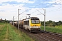 Alsthom 1304 - SNCB "1304"
09.08.2021 - Hochfelden
Alexander Leroy