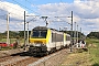 Alstom 1344 - SNCB "1324"
01.09.2019 - Assenois
Alexander Leroy