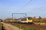 Alstom 1364 - SNCB "1344"
31.10.2015 - Hever
Philippe Smets