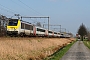 Alstom 1376 - SNCB "1356"
19.03.2009 - Hansbeke
Mattias Catry