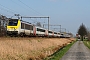 Alstom 1376 - SNCB "1356"
19.03.2009 - HansbekeMattias Catry