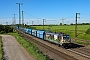 Alstom ? - CFL Cargo "188 063"
15.05.2024 - Weissenfels-GroßkorbethaDaniel Berg