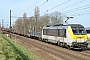 Alstom 1319 - CFL "3014"
20.02.2021 - Mortsel
John Mulrine