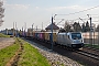 Alstom 35395 - METRANS "5170 163-7"
11.04.2026 - Stare BojanowoSebastian Klaba