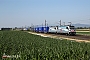 Alstom 35920 - SBB Cargo "188 125"
25.06.2026 - SandJean-Claude Mons