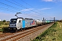 Alstom 35941 - RBP "188 146"
08.09.2026 - HeddesheimWolfgang Mauser
