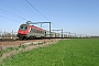 GEC ALSTHOM BB36001 - SNCF "36001"
02.04.2005 - Ekeren
Peter Schokkenbroek