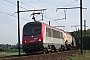 Alstom BB36017 - SNCF "36017"
11.09.2010 - Ekeren
Martin van der Sluijs