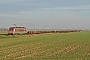 Alstom BB36021 - SNCF "36021"
22.11.2011 - Hertain
Mattias Catry