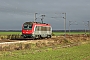 Alstom BB36021 - SNCF "36021"
30.11.2013 - Nanteuil le Haudoin
Jean-Claude Mons