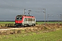 Alstom BB36021 - SNCF "36021"
30.11.2013 - Nanteuil le HaudoinJean-Claude Mons