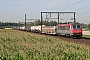 Alstom BB36024 - SNCF "36024"
06.08.2009 - Ekeren
Martin van der Sluijs